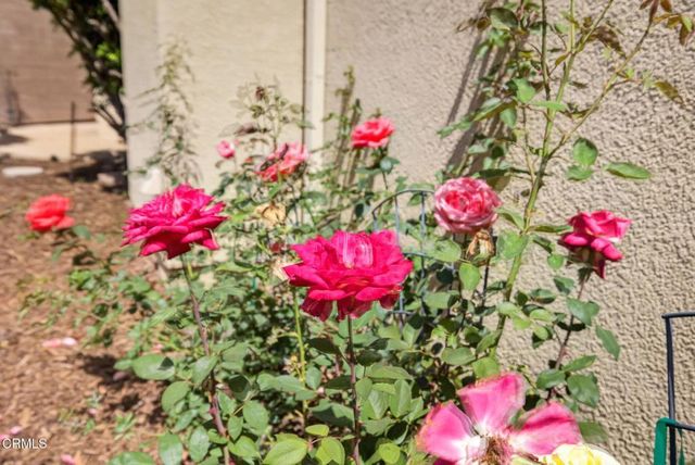 1705 Via Pajaro, Camarillo, CA 93012