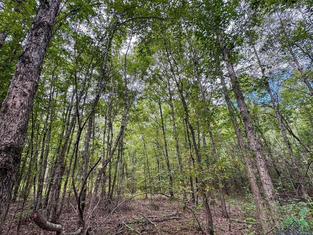 11214 FM 1399, Marietta, TX 75566