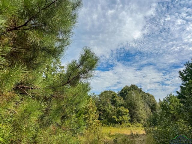 11214 FM 1399, Marietta, TX 75566