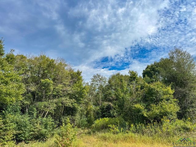 11214 FM 1399, Marietta, TX 75566