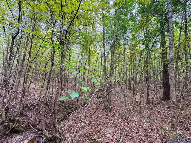 11214 FM 1399, Marietta, TX 75566