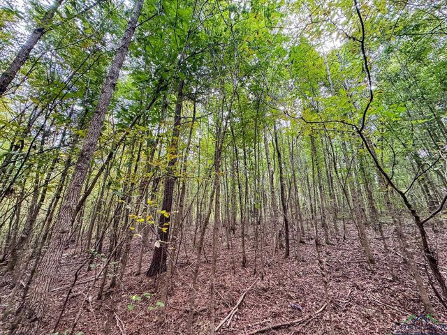 11214 FM 1399, Marietta, TX 75566