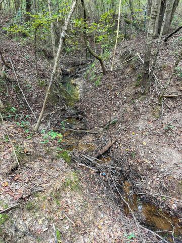 11214 FM 1399, Marietta, TX 75566