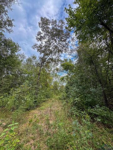 11214 FM 1399, Marietta, TX 75566