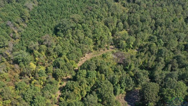 11214 FM 1399, Marietta, TX 75566