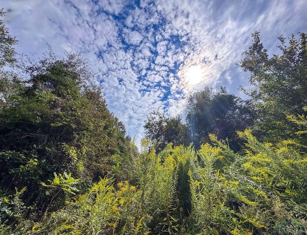 11214 FM 1399, Marietta, TX 75566