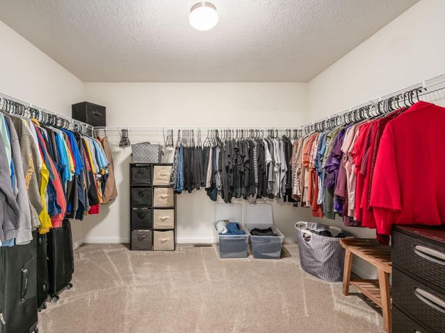 5667 Ballantrae Woods Drive, Dublin, OH 43016