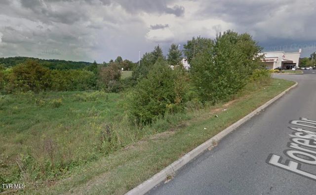 Tbd Forest Drive, Jonesborough, TN 37659