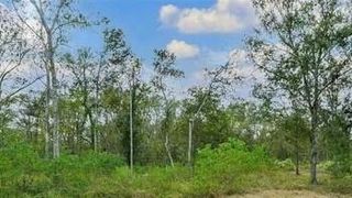 20687 Live Oak Drive, Damon, TX 77430