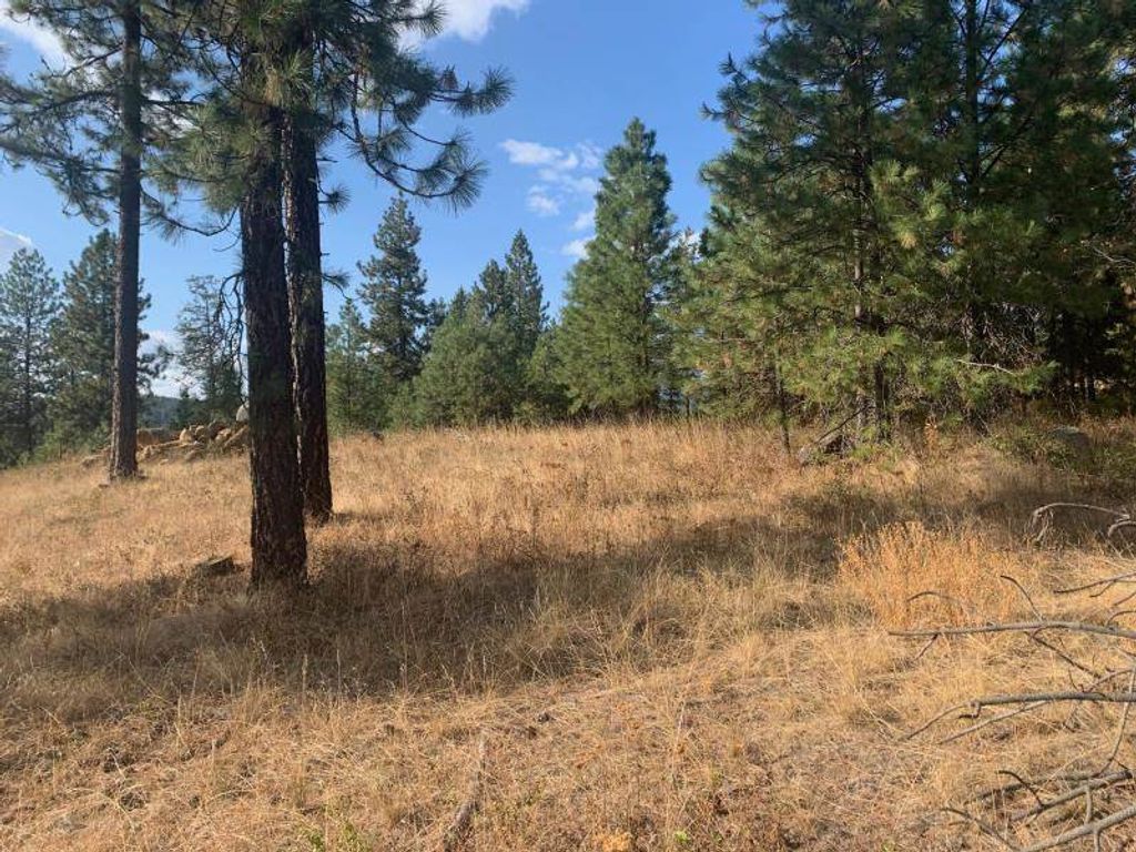 1618 Palmer Loop, Chewelah, WA 99109 photo 3