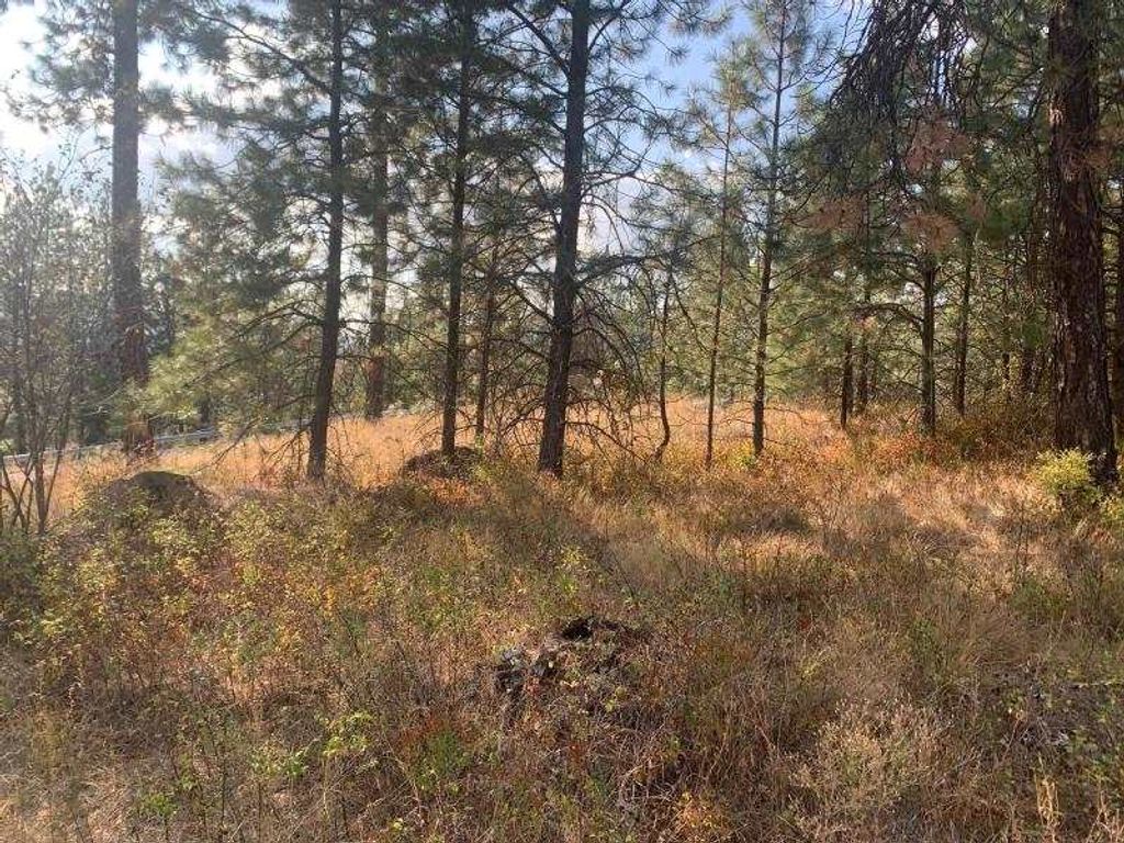 1618 Palmer Loop, Chewelah, WA 99109 photo 4