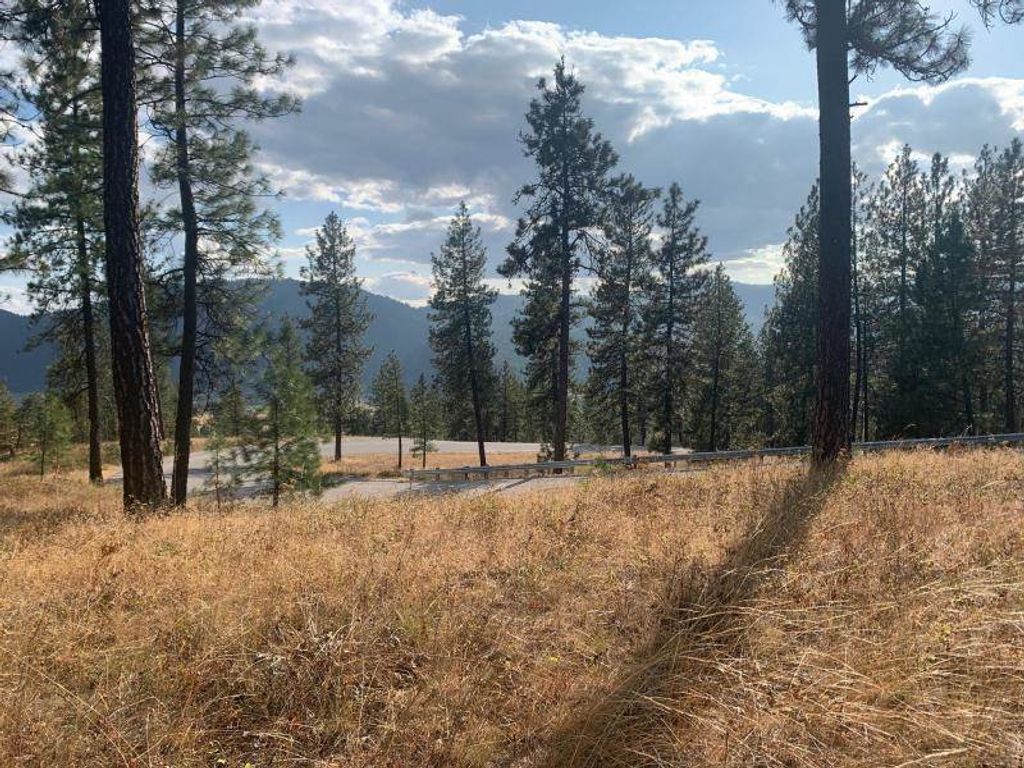 1618 Palmer Loop, Chewelah, WA 99109 photo 5