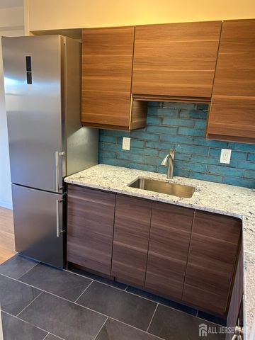 123 S Adelaide S Avenue 4M, Highland Park, NJ 08904