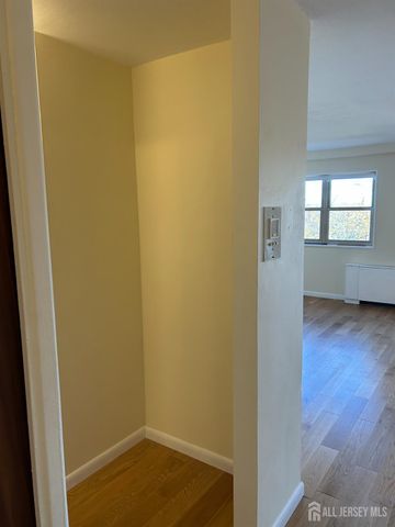 123 S Adelaide S Avenue 4M, Highland Park, NJ 08904