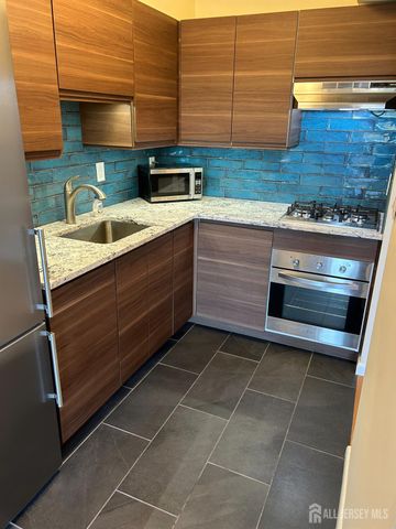 123 S Adelaide S Avenue 4M, Highland Park, NJ 08904