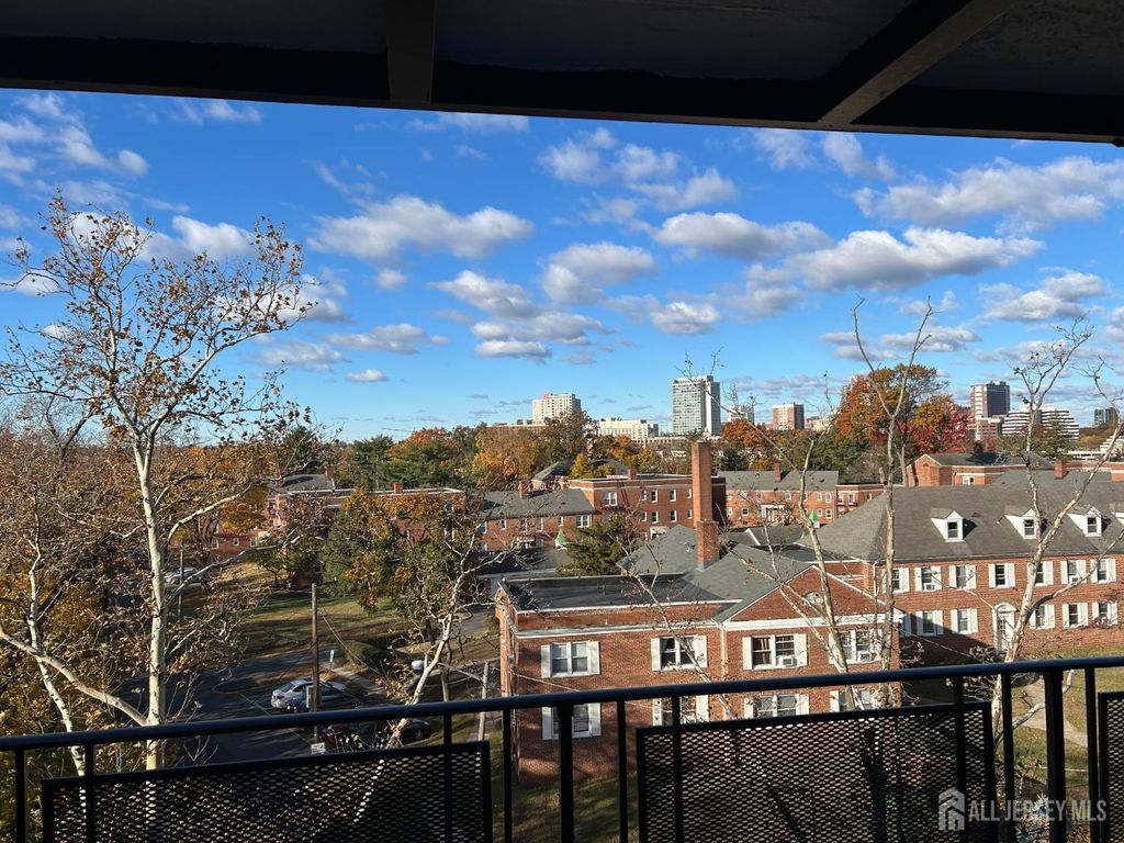 123 S Adelaide S Avenue 4M, Highland Park, NJ 08904