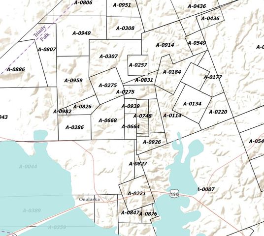 698 Huckleberry Road, Onalaska, TX 77360