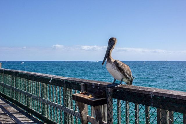 1370 S Ocean Boulevard 405, Pompano Beach, FL 33062