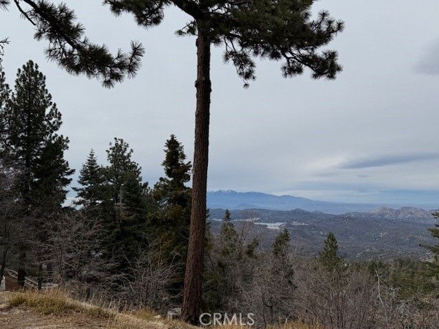 33149 Holcomb Creek Drive, Green Valley Lake, CA 92341