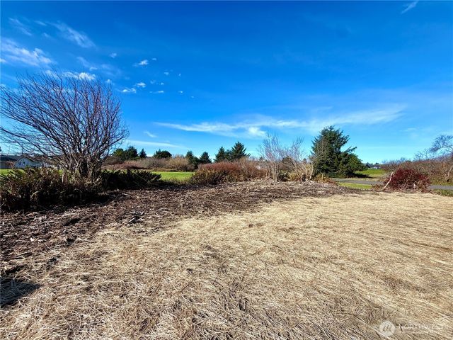 299 Octopus Avenue NE, Ocean Shores, WA 98569