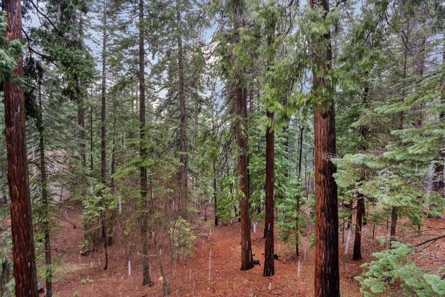 1996 Seminole Way, Arnold, CA 95223