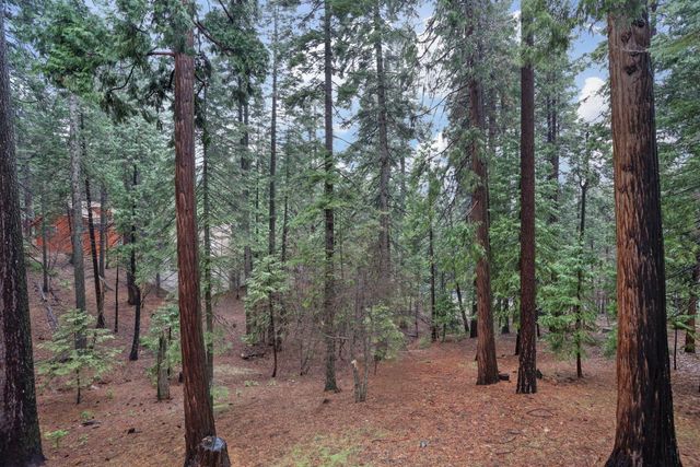 1996 Seminole Way, Arnold, CA 95223