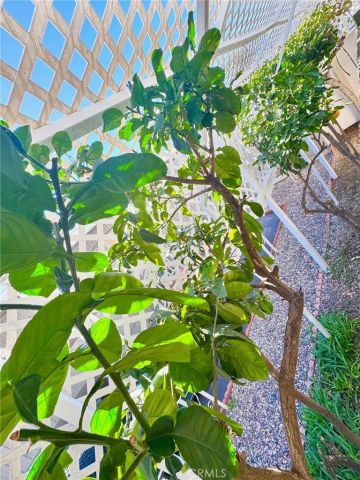 1630 W Covina 39, San Dimas, CA 91773