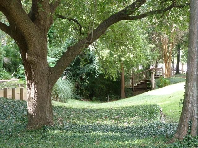 2100 Tanglewilde Street 286, Houston, TX 77063