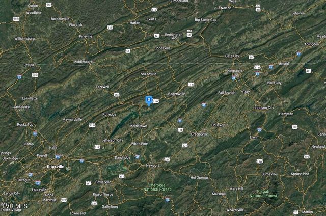 9098 Paradise View Drive, Mooresburg, TN 37811