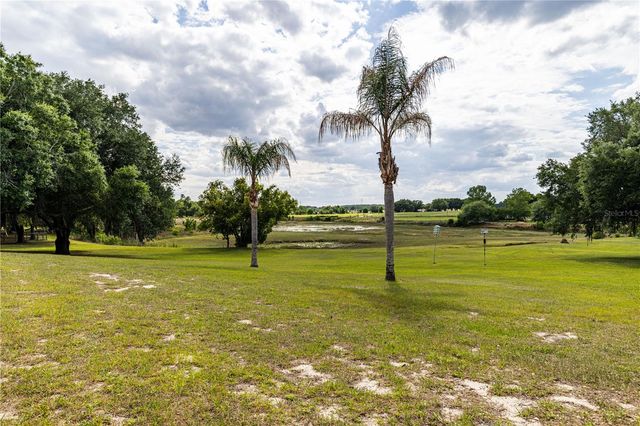 25101 TURKEY LAKE ROAD, Howey In The Hills, FL 34737