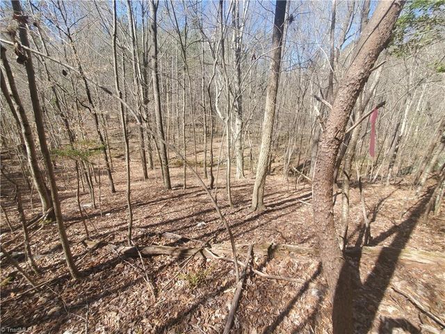 1969 Mulberry Academy Street, Franklinville, NC 27248