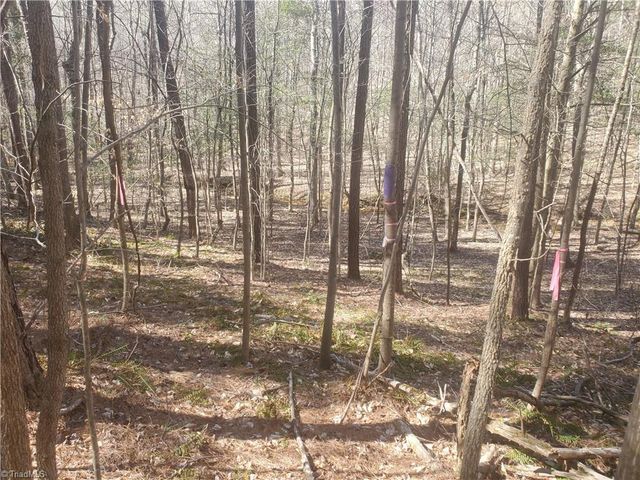 1969 Mulberry Academy Street, Franklinville, NC 27248