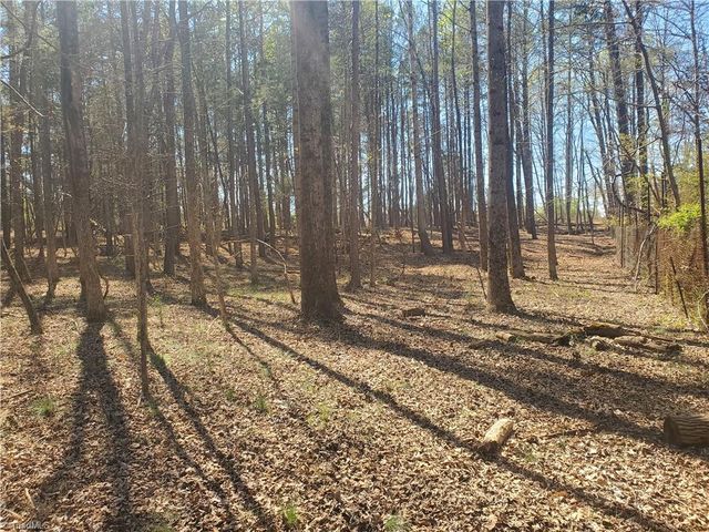 1969 Mulberry Academy Street, Franklinville, NC 27248