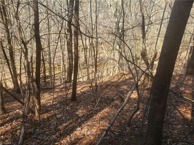 1969 Mulberry Academy Street, Franklinville, NC 27248