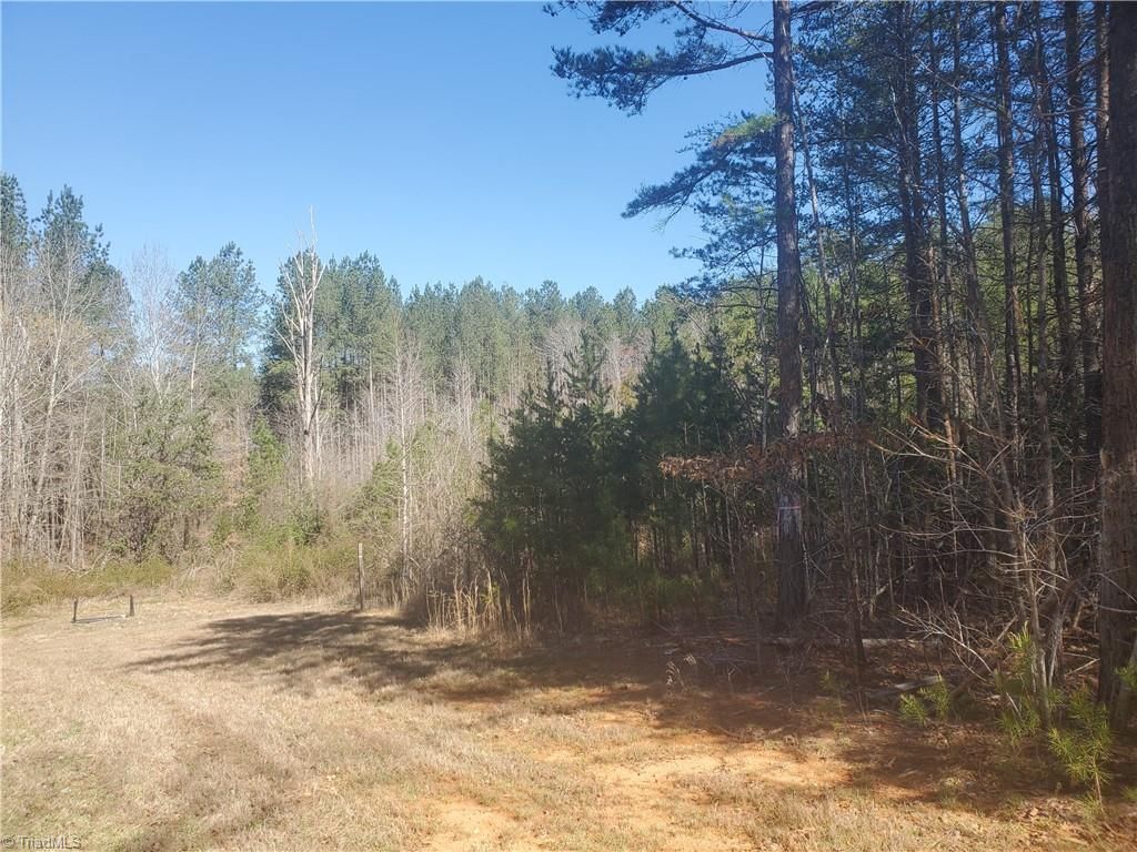 1969 Mulberry Academy Street, Franklinville, NC 27248