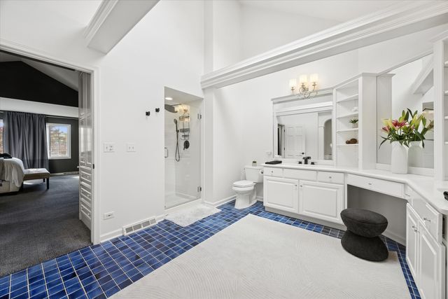 245 Meadowbrook Lane, Hinsdale, IL 60521