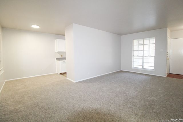 1031 Fabulous, San Antonio, TX 78213