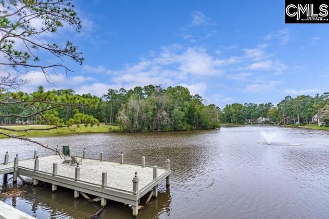 14 Shadow Creek Court, Columbia, SC 29209