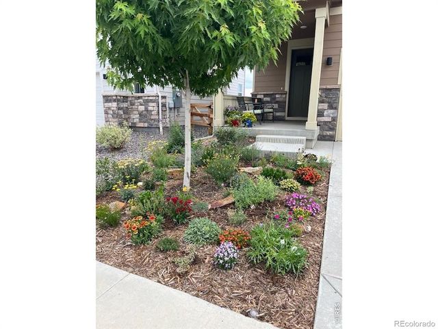 1938 Knobby Pine Drive, Fort Collins, CO 80528