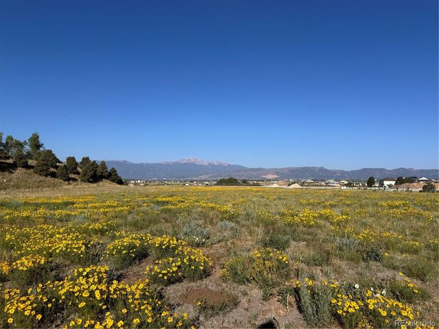 7075 Silver Ponds Heights, Colorado Springs, CO 80908