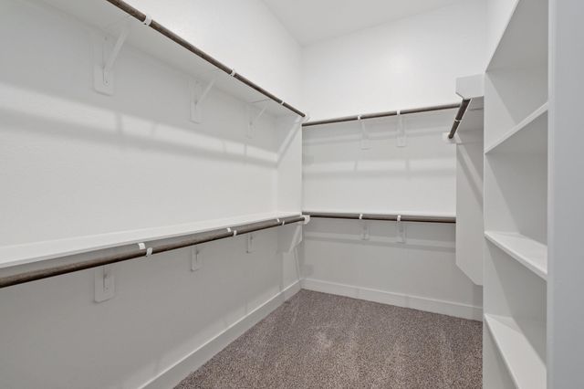 514 Tawny Rim Drive, Willis, TX 77318