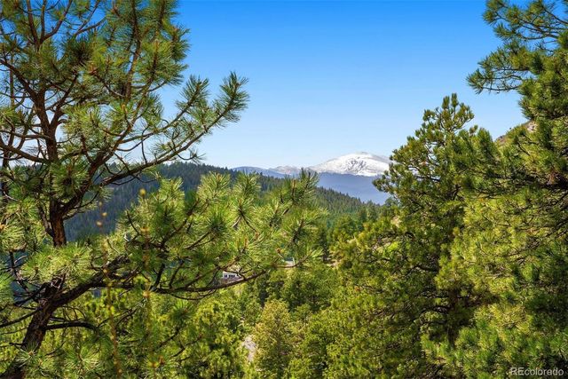 33095 Bergen Mountain Road, Evergreen, CO 80439