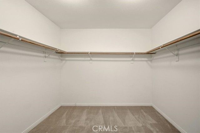 86 Quail, Irvine, CA 92618