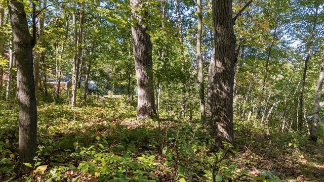 8536 241st Avenue NE, Stacy, MN 55079