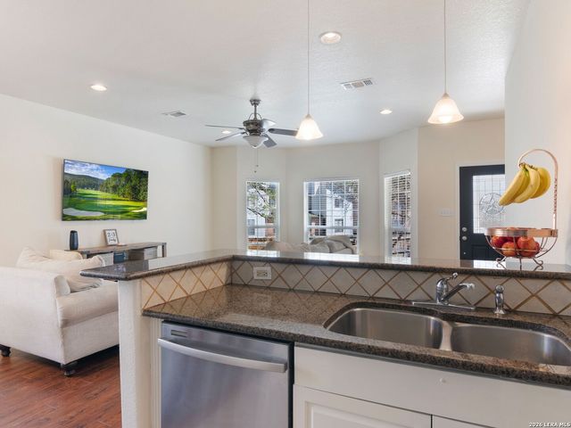 11917 FLAME TREE COVE, San Antonio, TX 78213