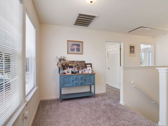 11917 FLAME TREE COVE, San Antonio, TX 78213