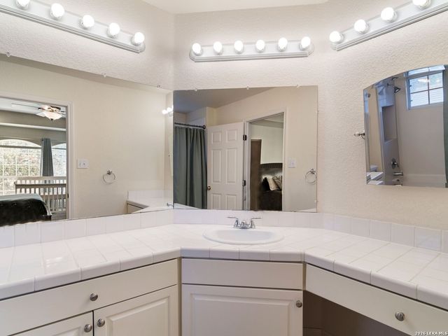 11917 FLAME TREE COVE, San Antonio, TX 78213