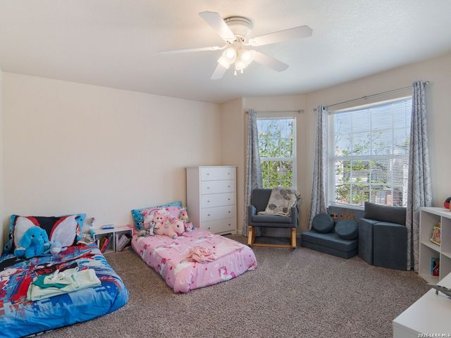 11917 FLAME TREE COVE, San Antonio, TX 78213