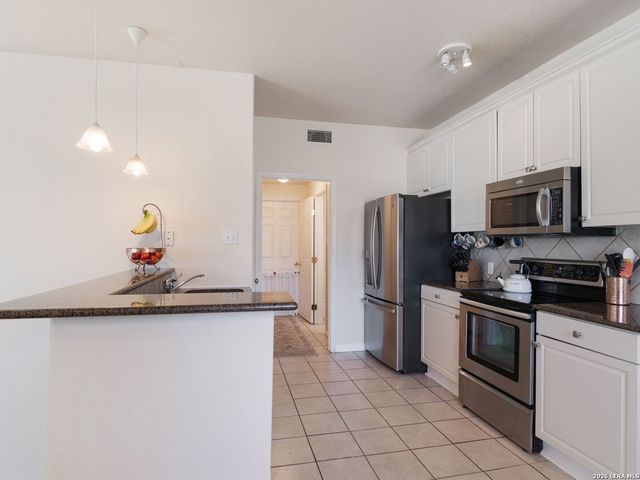 11917 FLAME TREE COVE, San Antonio, TX 78213