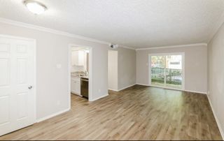 4859 Cedar Springs Road 152, Dallas, TX 75219
